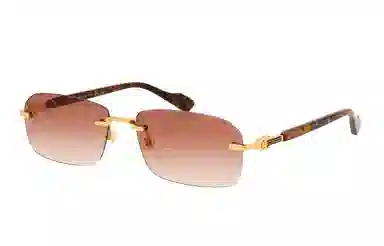 Gucci Rectangular Sunglasses Brown