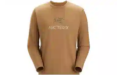 Arcteryx Captive Arc'word LS Shirt