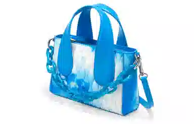 Charles & Keith Tote Bag