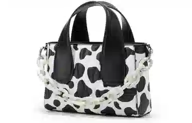 Charles & Keith Tote Bag