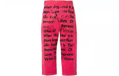 Supreme x JUNYA WATANABE COMME des GARÇONS MAN Printed Work Pant