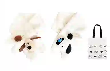 US8ACC
