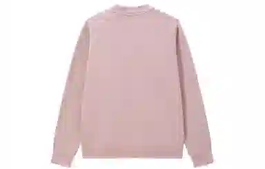 Champion FW22 Rochester c-logo