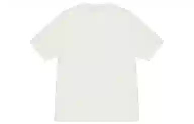 Stussy FW22 Logo T