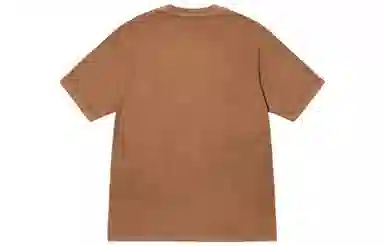 Stussy FW22 Logo T