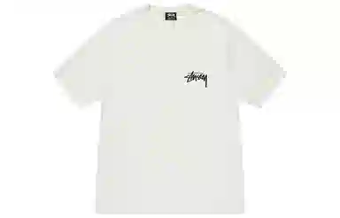 Stussy FW22 How We're livin' T