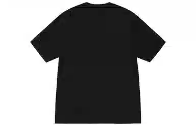 Stussy FW22 Logo T