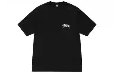 Stussy FW22 How We're livin' T