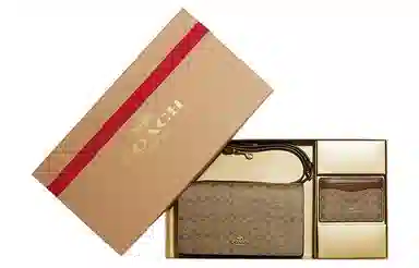 COACH Clutch 20 Brown