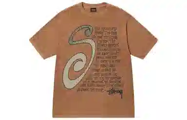 Stussy FW22 Logo T
