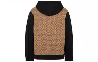 Coach Colorblock Logo Drawstring Hoodie Khaki