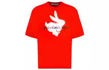 CKCalvin Klein logoT