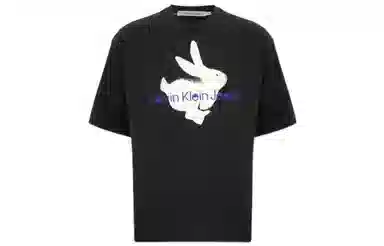 CKCalvin Klein logoT