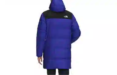 THE NORTH FACE FW22 Logo