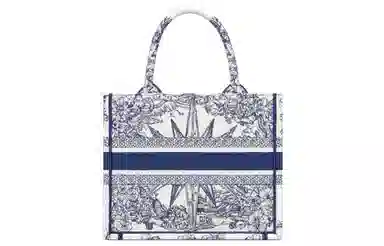 Dior Book Tote Blue/White