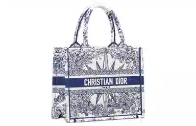 Dior Book Tote Blue/White