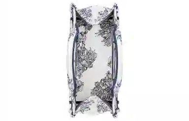 Dior Book Tote Blue/White