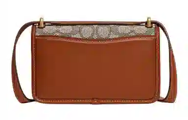 COACH Bandit 18