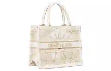 DIOR BookTote Tote