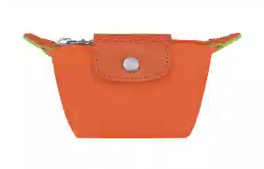 LONGCHAMP Le Pliage Green 9