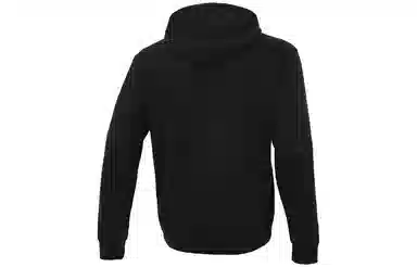 adidas originals Worm Hoodie