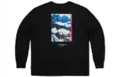 THE NORTH FACE 1992 30 LogoT