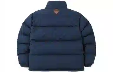 The North Face x Invincible Nuptse 700 Yellow Blue