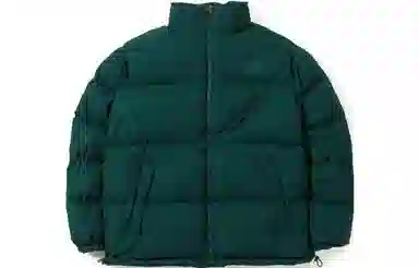 The North Face x INVINCIBLE NUPTSE 700