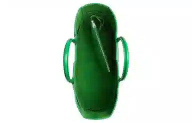 Bottega Veneta Arco Parakeet Green