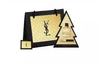 YSL