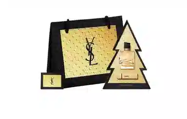 YSL
