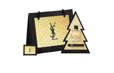YSL