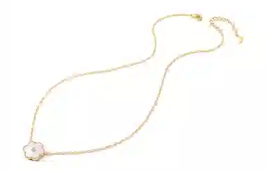 VIGG S925