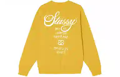 Stussy World Tour Logo