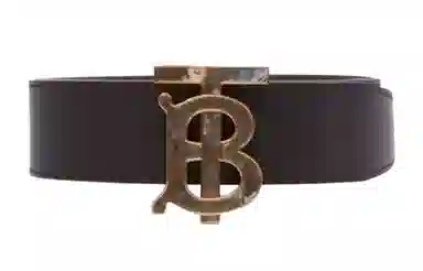 Burberry Belt Brown