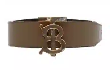 Burberry Belt Brown