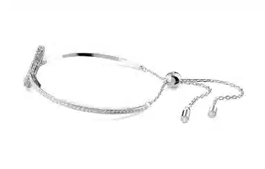 Swarovski Iconic Swan