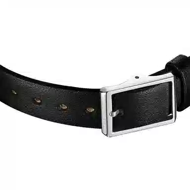 EMILE CHOURIET 29.2mm 06.2188.L.6.6.08.2