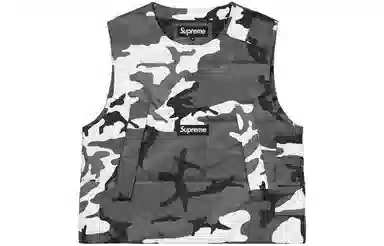 Supreme FW22 2-in-1 GORE-TEX Vest