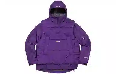 Supreme FW22 2-in-1 GORE-TEX Vest