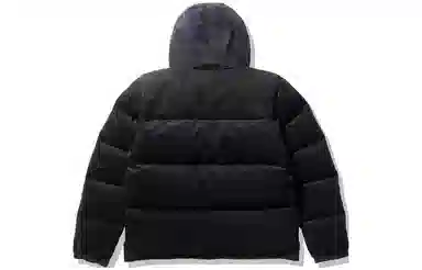 THE NORTH FACE PURPLE LABEL Logo
