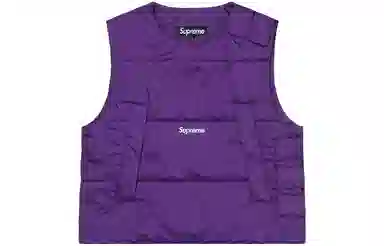 Supreme FW22 2-in-1 GORE-TEX Vest