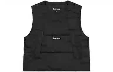Supreme FW22 2-in-1 GORE-TEX Vest