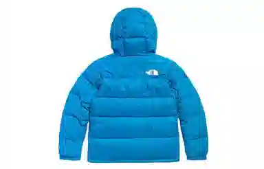 The North Face Logo Zip Hoodie