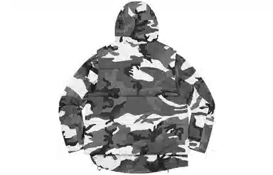 Supreme FW22 2-in-1 GORE-TEX Vest