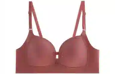 内在密码 纯色聚拢防下垂无痕内衣女大胸显小无钢圈薄款可拆卸双肩带文胸