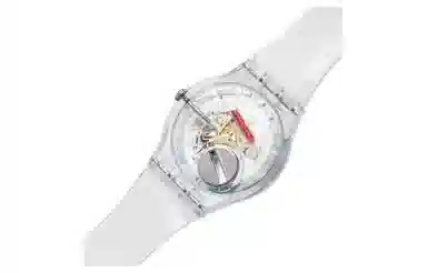 SWATCH Gent Clear 30 34mm SO28K100