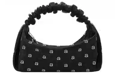 Alexander Wang Scrunchie Mini Bag