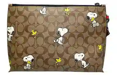COACH x Peanuts Snoopy Pouch 29