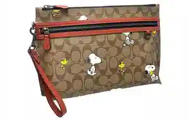 COACH x Peanuts Snoopy Pouch 29